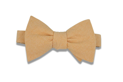 Navy Gold Paisley Cotton Bow Tie (pre-tied)
