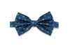 Eddie Stars Silk Bow Tie (pre-tied)