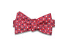 Reddy Squares Silk Bow Tie (Self-Tie)