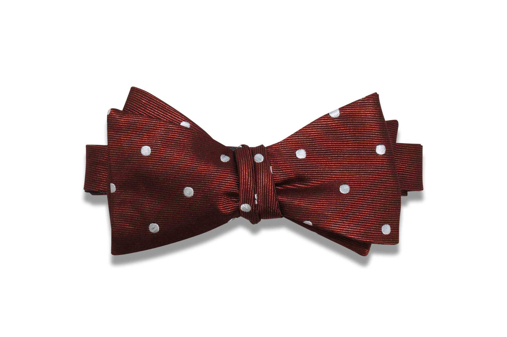 Brown Polka Dots Silk Bow Tie (self-tie)