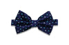 Colored Dots Silk Bow Ties (pre-tied)
