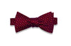 Maroon Striped Dots Silk Bow Tie (self-tie)