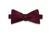 Navy Red Silk Bow Tie (self-tie)