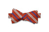 Orange Drive Silk Bow Tie (Self-Tie)