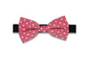 Punch Dotted Bow Tie (PRE-TIED)