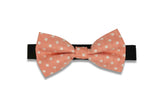 Rose Peach Bow Tie (PRE-TIED)