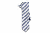 Silver Lining Blue Silk Skinny Tie