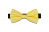Yellow Dotted Bow Tie (PRE-TIED)